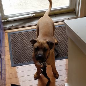 Meet your Posher, Blake